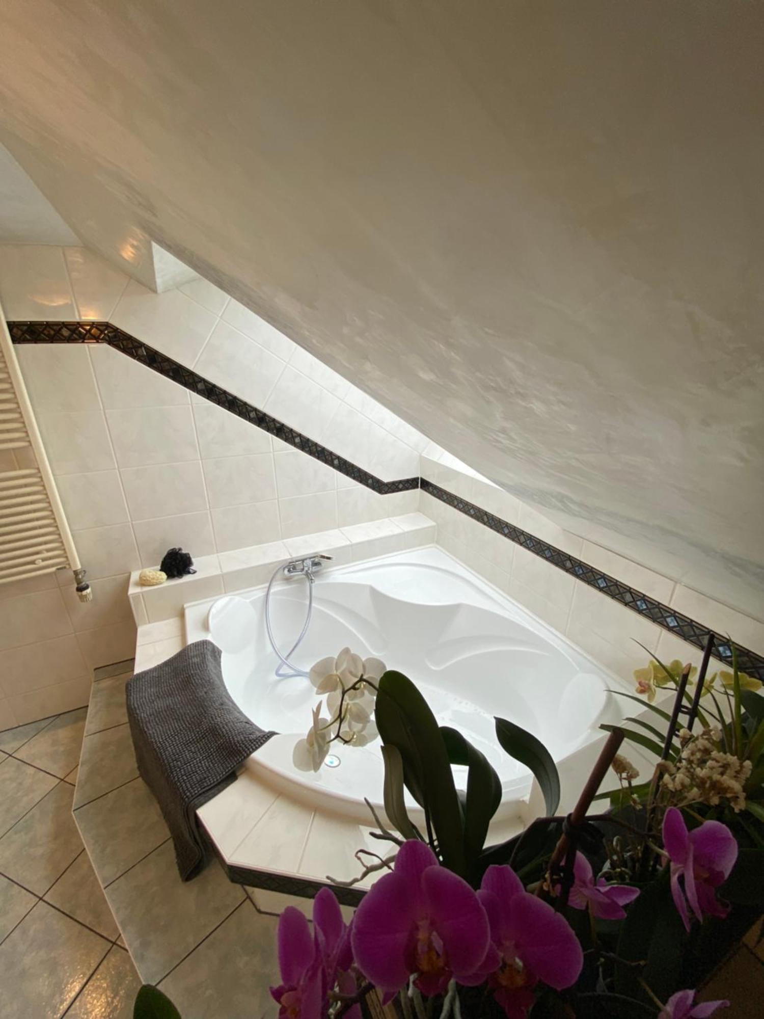 Privatunterkunft Privatzimmer In Atelier Leipzig